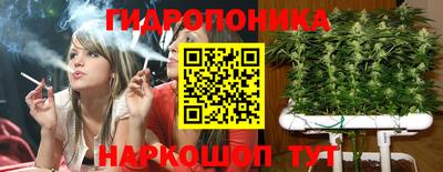шишки Рязань