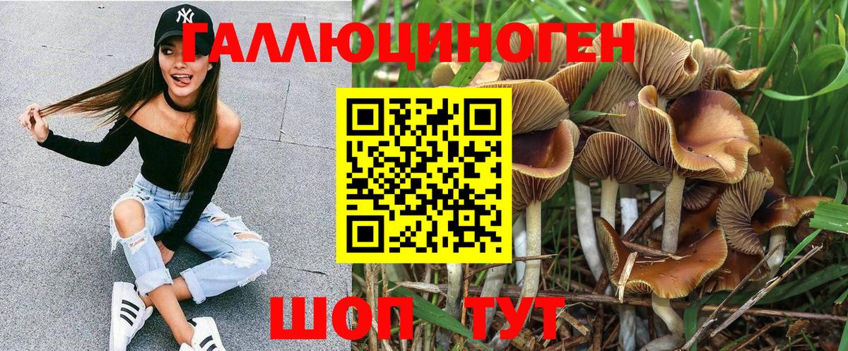Галлюциногенные грибы MAGIC MUSHROOMS  Вход с VPN  Россия 